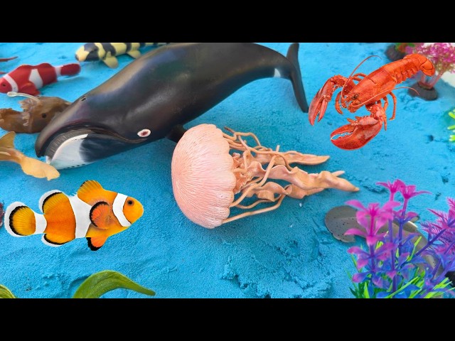 Something's coming! Ocean Beach Animals Collection for kids