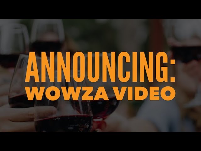 Announcing: Wowza Video
