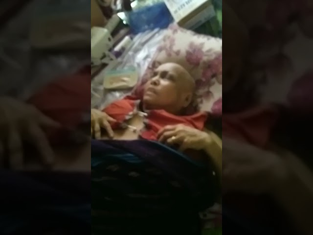 WhatsApp Video 2025 07 11 at 14 13 46 9c9f1dc6