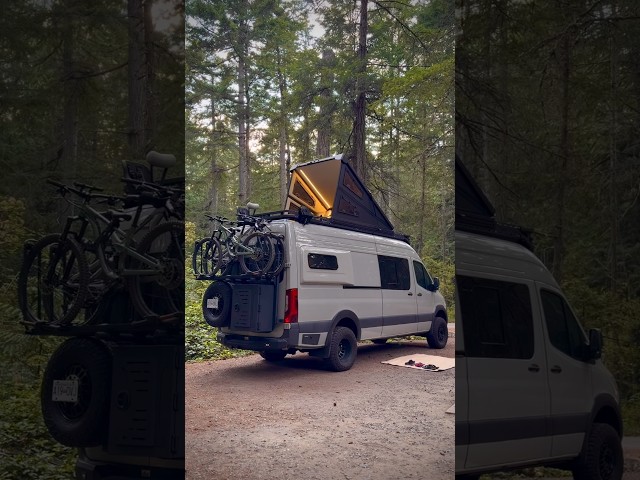 A Night in the Trees 🌲 #van #fyp #camp #diy