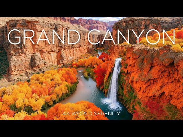 Grand Canyon 4K 💛 Autumn in Arizona’s Desert Paradise 💛 Golden Forests, Red Cliffs & Canyon Views
