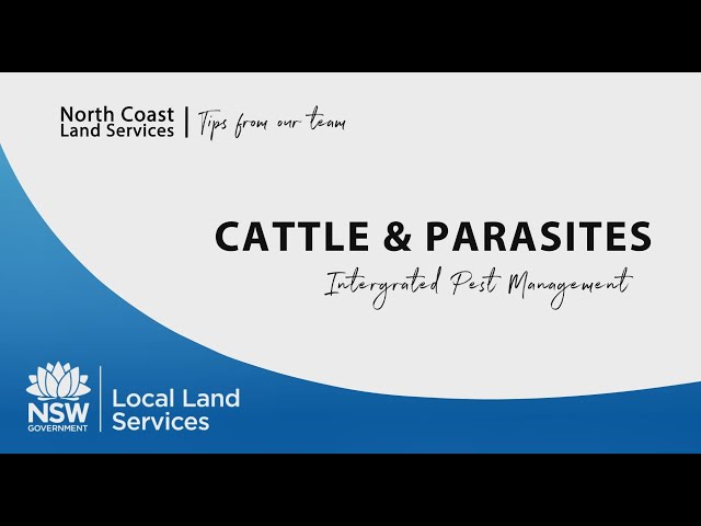 Tips from our Team - Cattle & Parasites