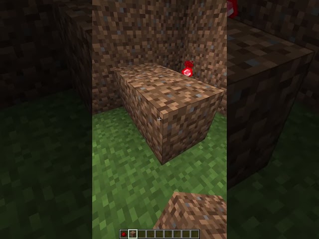 A Door With A Password?! #minecraft @ZekCrafting
