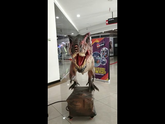 This Tyrannosaurus is Alive 🦕 | #CaptainTechWorld | 2019