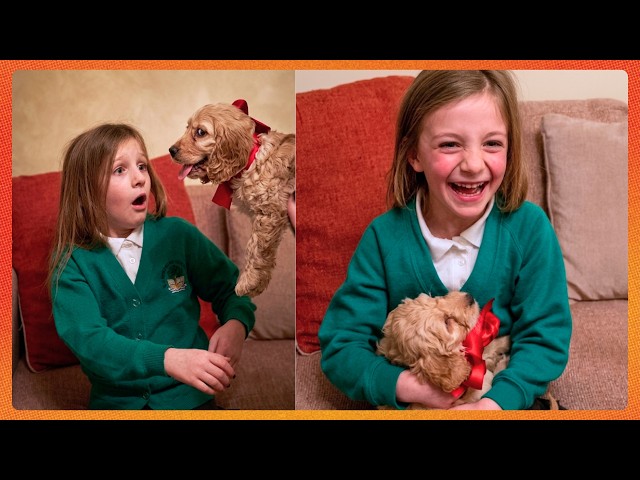 When Pets Show Up as Surprise Gifts That Make Everyone Cry Happy Tears! ❤️🐶