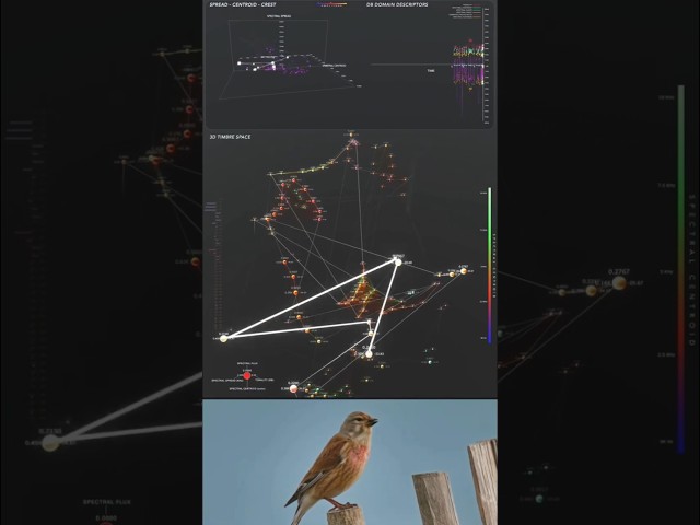 Visual analysis of an amazing linnet #FlyWithCode07 #bird#birdsongdatavisualization