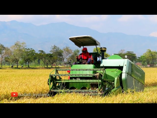 KOMBI SAWAH GREENSTAR DI SAWAH JETIS PONOROGO