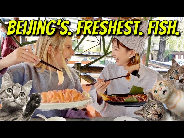 I tried RAW Beijing river fish... and loved it