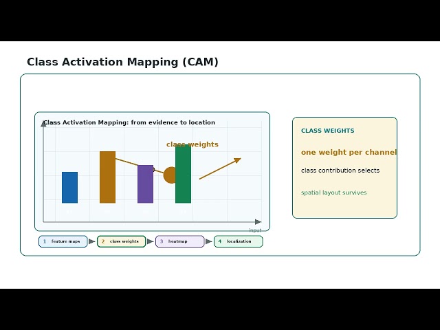 Class Activation Mapping (CAM) Algorithm