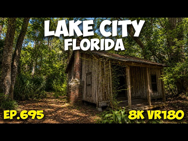 The Forgotten Side of Lake City: Spanish Moss & Dirt Roads ep.695 #8k #vr180 #3d #travel #florida