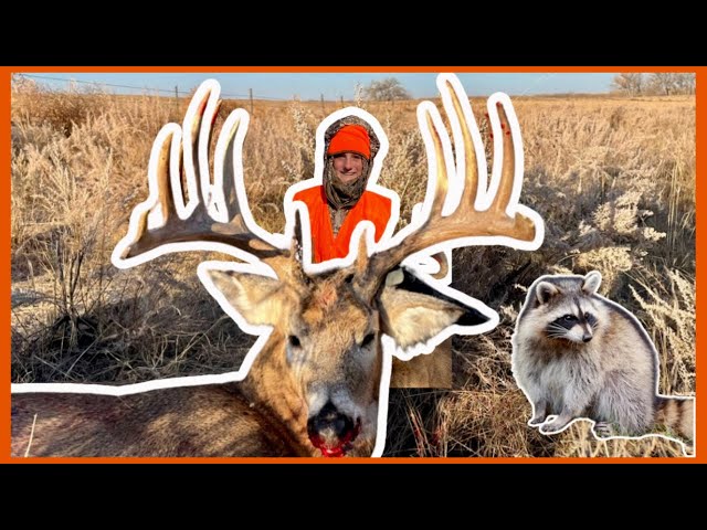 Hunting GIANT WHITETAIL In Illinois (LATE SEASON DEER HUNT) *First Buck Alert!*