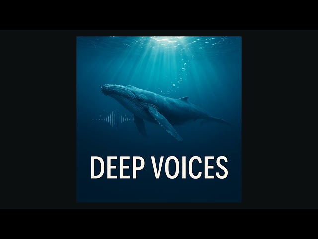 Scientists are bridging the language gap between humans and whales. What then? - Canada's National O