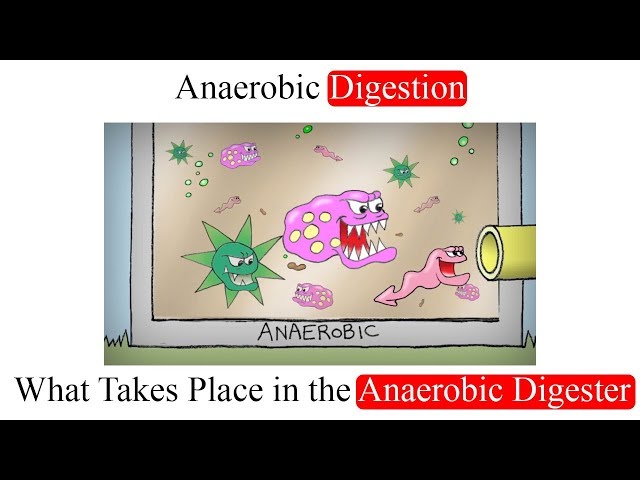 Anaerobic Digestion:  What Takes Place in the Anaerobic Digester