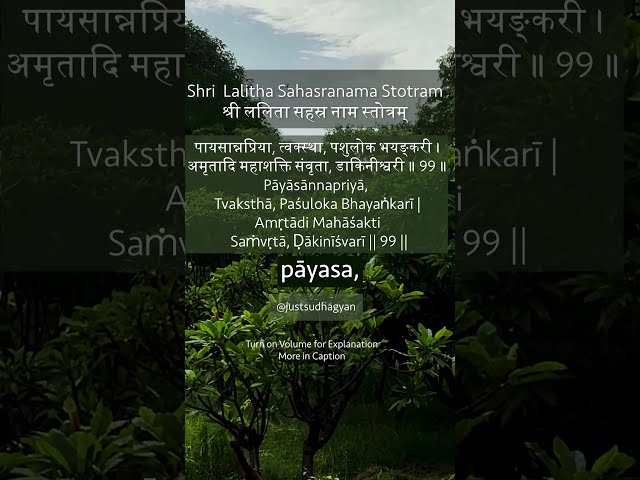 Shri Lalitha Sahasranamam Shloka 99 | पायसान्नप्रिया, डाकिनीश्वरी  | Just Sudha Gyan
