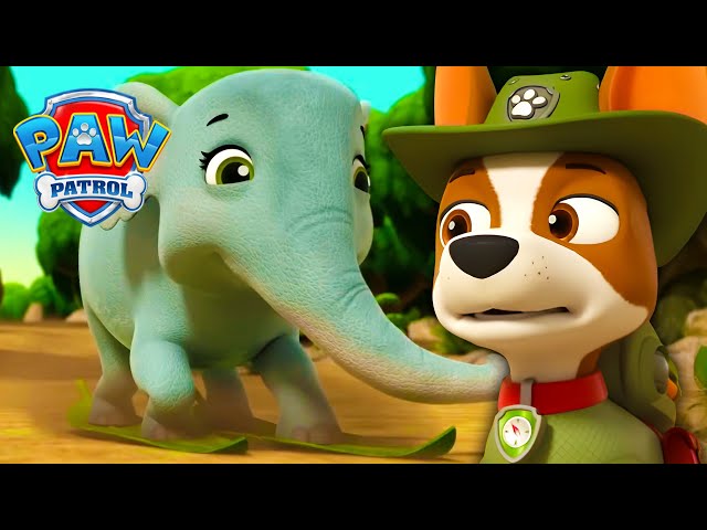 Tracker und der verspielte Elefant! 🐘 - PAW Patrol Germany - Cartoons für Kinder