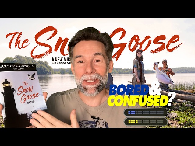 Theater Review: The Snow Goose - Bored and Confused?