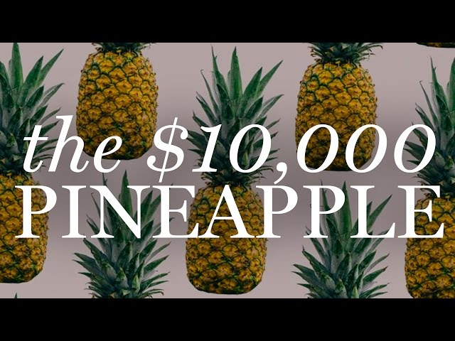 Why the Pineapple used to cost $10, 000