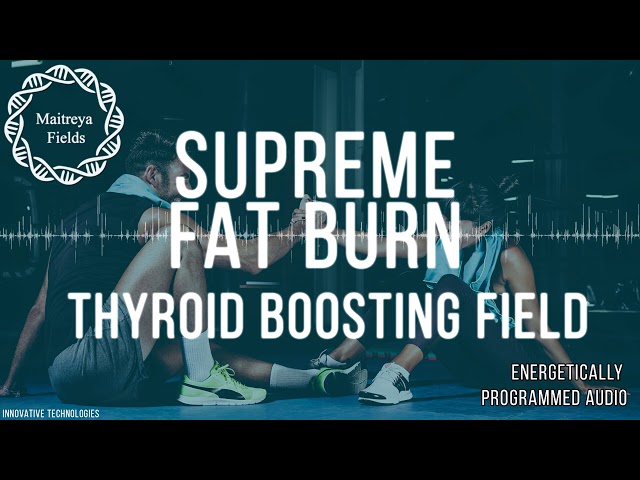 Supreme Fat Burn & Metabolic Optimizer / Energetically Programmed Audio / Maitreya Reiki™