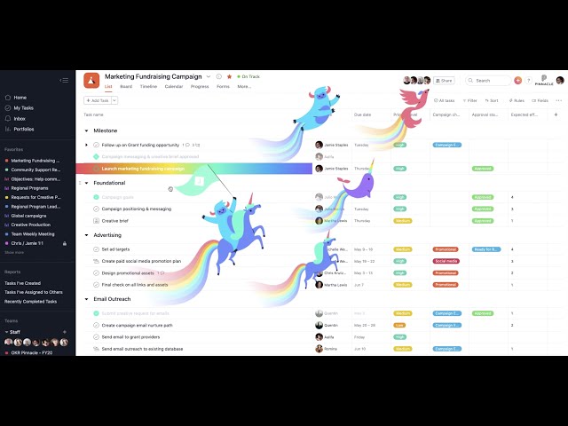 Asana for Nonprofits Demo