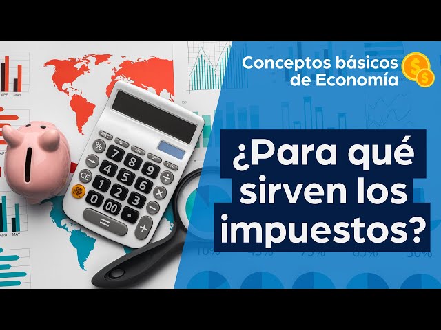 What are taxes for? | Basic Economics