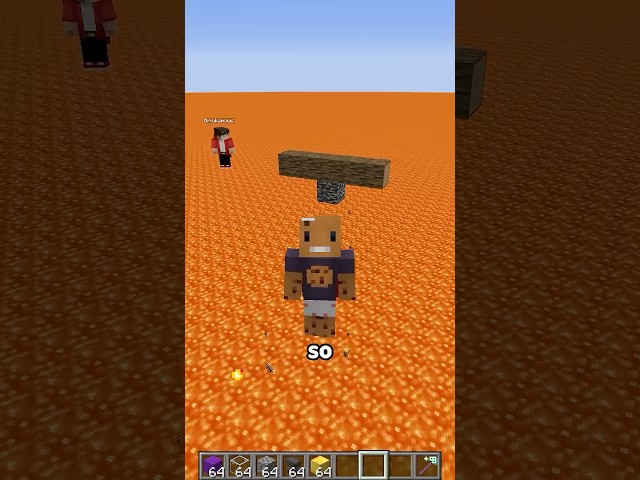 i added physics to minecraft