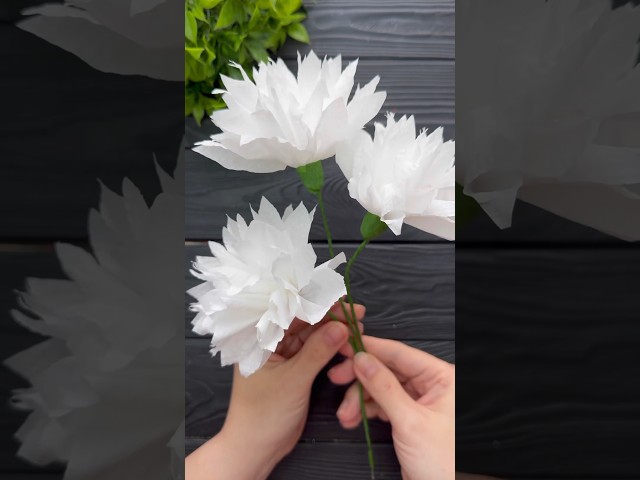How to make Easy Tissue Paper Flowers  DIY Paper Craft Tutorial