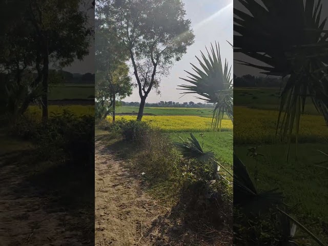 Visiting Village with Friends #villagelife