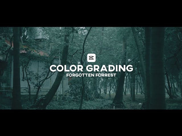 Capcut Color Grading | Forgotten Forrest | Tutorial | For Free