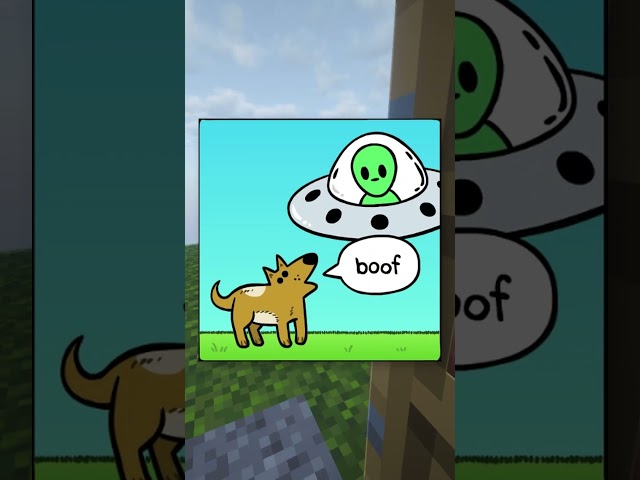 BOOF BOOF..