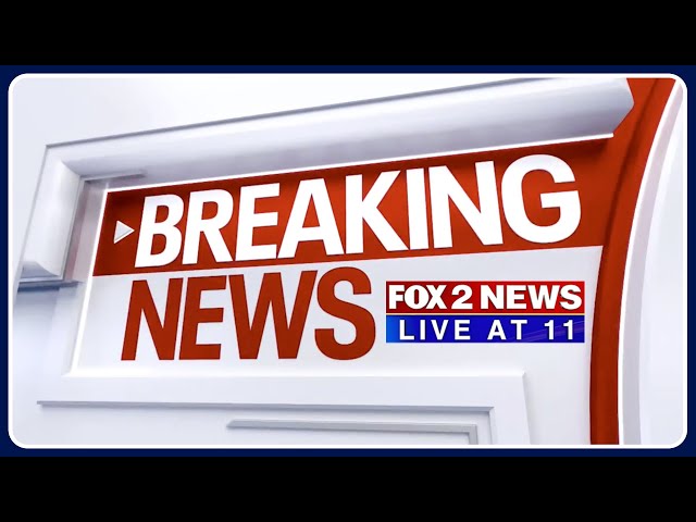 FOX 2 News Live at 11 | July 17