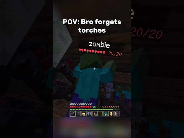 POV bro forgets torches #minecraft #gaming #funny