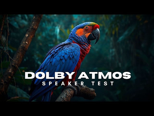Dolby Atmos vs DTS:X 4K HDR Home Theater Comparison Demo