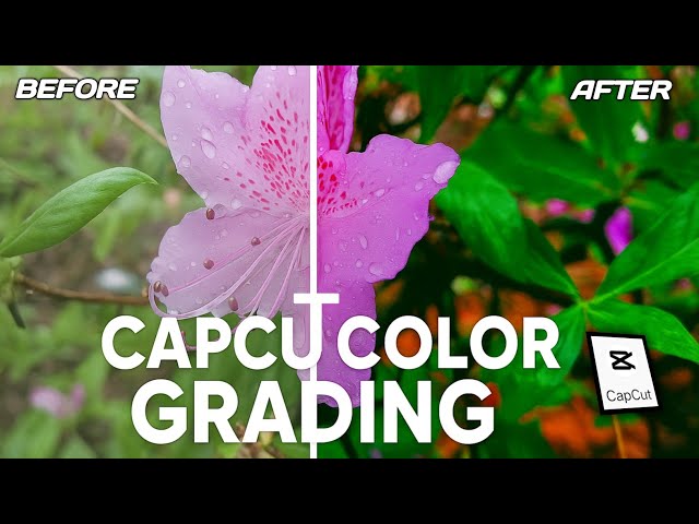 Cinematic Colour Grading in CapCut 🔥 CapCut Colour Grading Tutorial 2025