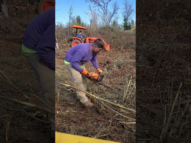 Blasting through Black Berry clean up to the creek. #blackberry #propertycare #creekcleanup #sub