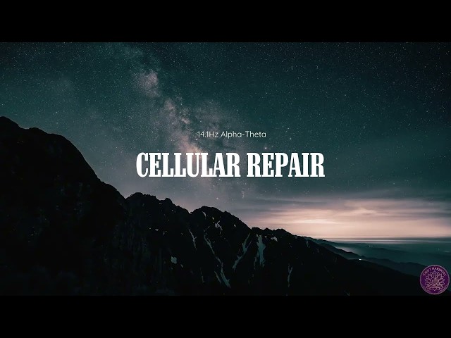 A State of Profound Rest  | Alpha-Theta Bridge | 14.1Hz Deep Sleep & Cellular Repair (3 Hours)