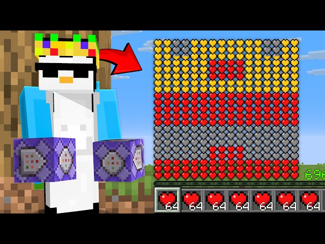 I Secretly DUPED 1,000,000 Hearts in This Minecraft SMP..!