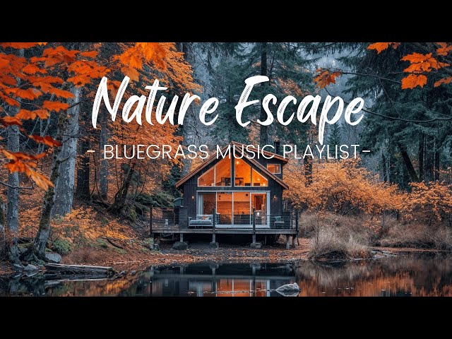 Country & Bluegrass Harmony | Peaceful Tunes for Tiny Homes