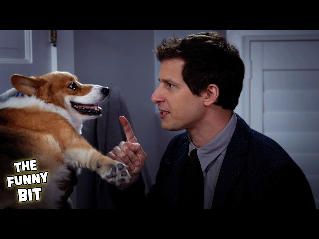 Non-Stop Cheddar Moments 🐾 | Brooklyn 99 | The Funny Bit