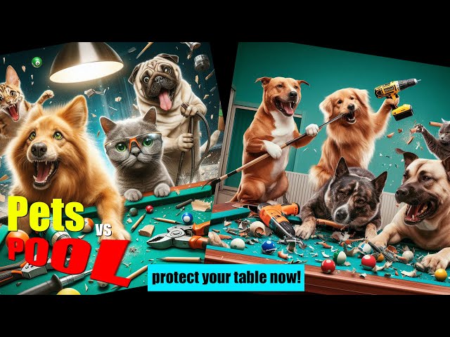 Pool Table Pet Protection! Pet Proof your Pool!