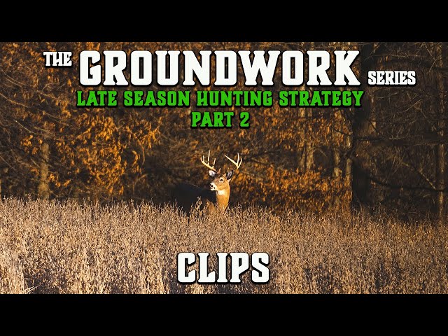 Late Season Deer Hunting | Food Plot Hunting Strategies!