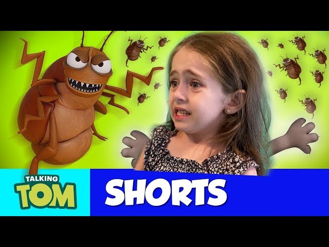 🦟 Fleas, Fleas, Everywhere! 🦗 Talking Tom Shorts | My Talking Tom 2 IN REAL LIFE