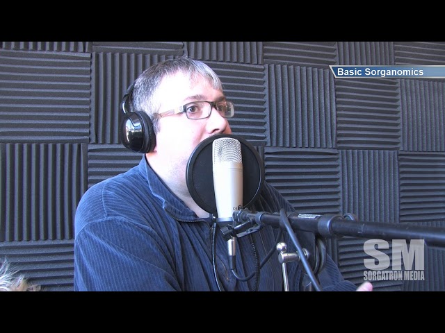 Basic Sorganomics: Facebook LIVE for SAE