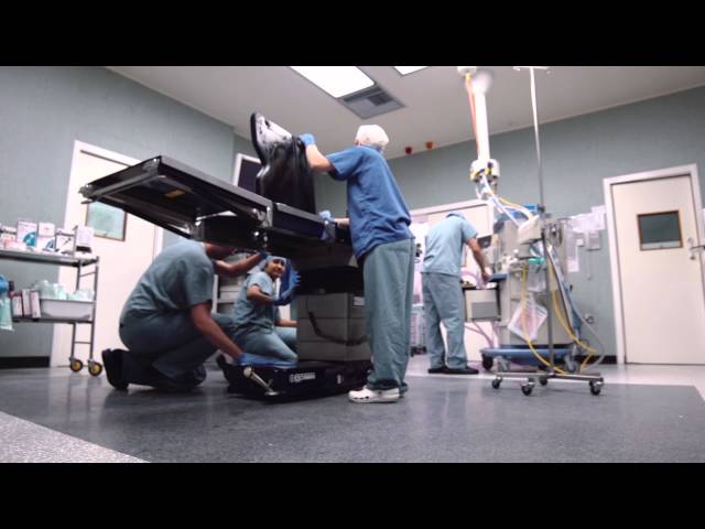 Meet Ryan, a medical engineer