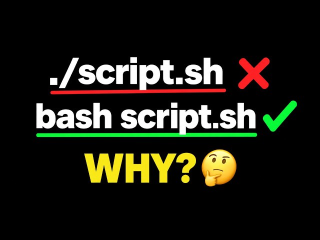 Why bash script.sh Works But ./script.sh Doesn't?
