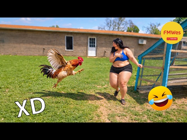 Funny Videos 🤣 If You Laugh You Lose God Level #847 😎 Mexican Viral Humor 🤣