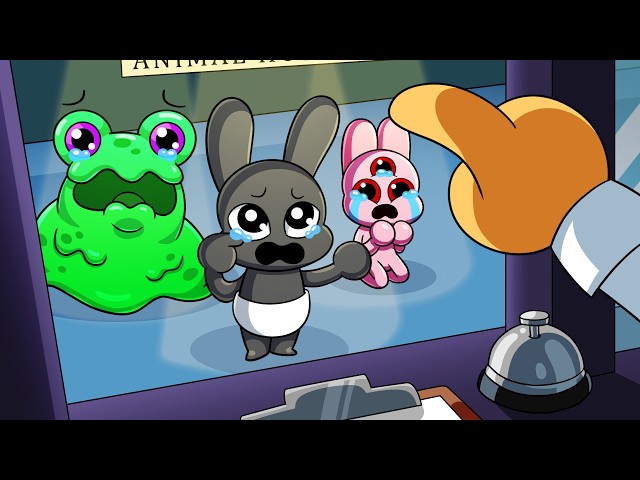 ANIMAL HOSPITAL: The Early Years.. (Cartoon Animation)