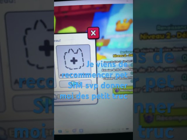 Pet simulator