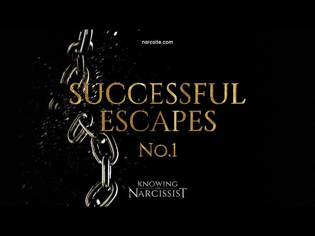 Successful Escapes : 1
