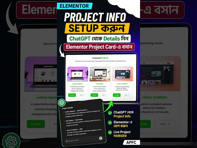 Elementor Project Info Setup | Project Details from ChatGPT