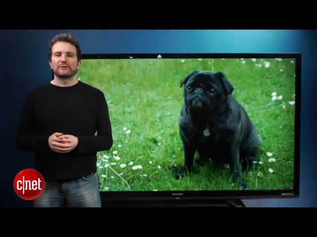 First Look: The gigantic 80-inch Sharp TV